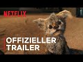 Chupa Offizieller Trailer Netflix