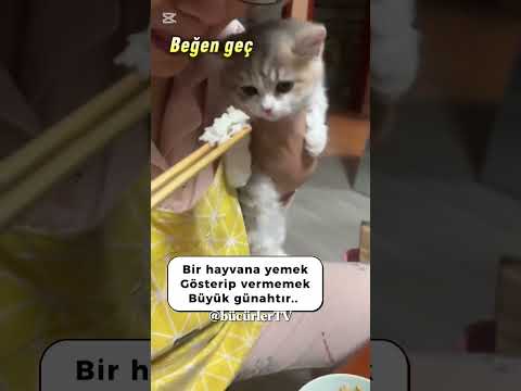 #keşfetteyiz #keşfetbeniöneçıkar #ytdayibenionecikarnolur #keşfet