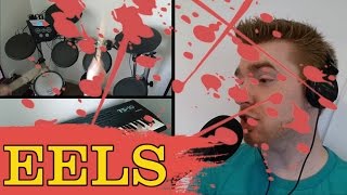 Eels - Flyswatter (Cover)
