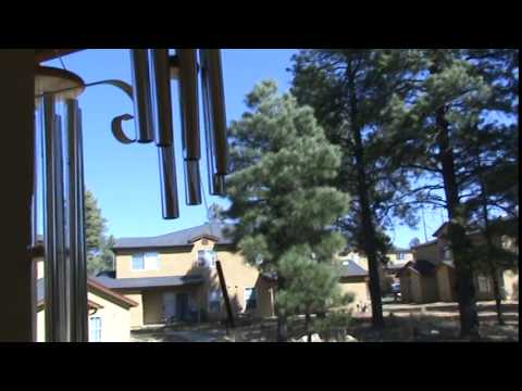 Gregorians on a windy day 2008