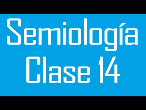 Semiología 14