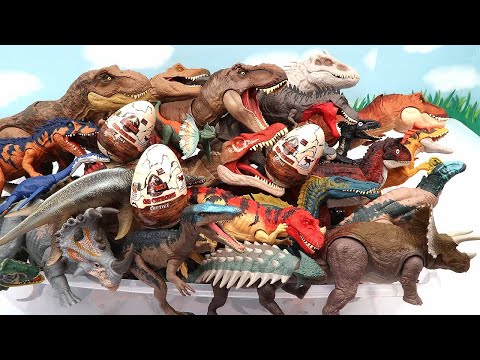 50 Dinosaur BOX With Dinosaur Egg, Slime, Battle Dino Token