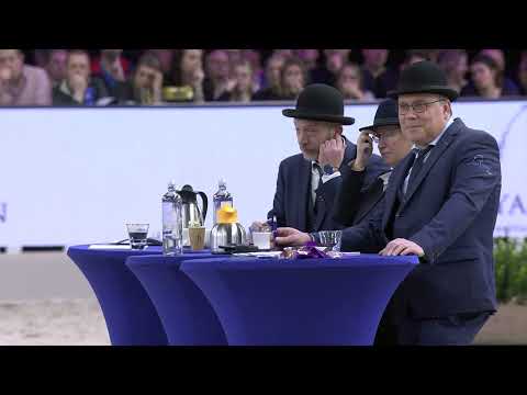 HK 2026 – Championship younger Studbook Stallions – English