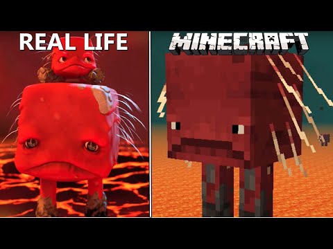 Cursed Real Life Minecraft Mob Fun