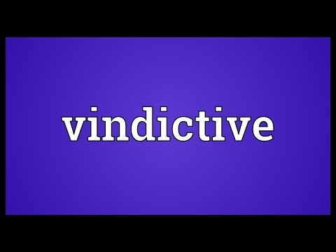 Vindictive Meaning