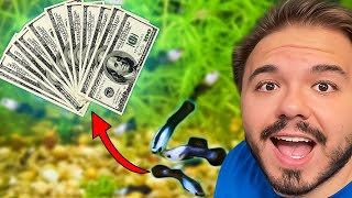 Selling My Fish for PROFIT! * MAKE MONEY *