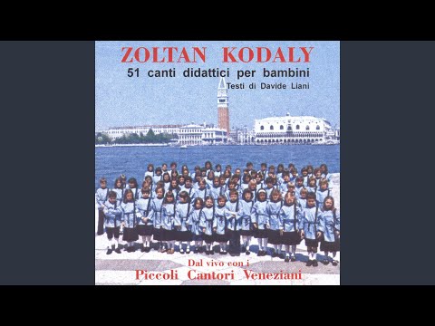 L'orsacchiotto (Live)