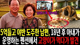 Download lagu 2005년 5억원들고 야반 도주한 남편, 18년 후 아내가 운영하는 펜션에서 고양이가 먹다가 발견 된 충격적 진실 | 미스터리 | 미제사건 | 충격반전 mp3