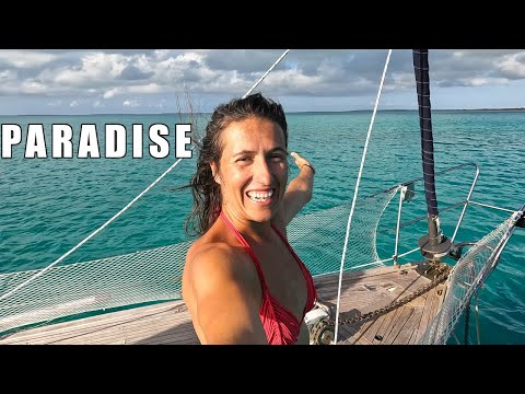 Sie SOLLTEN nach CAT ISLAND segeln [E329]