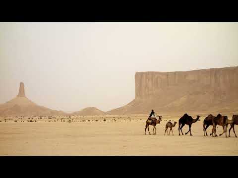 Lesung am Neujahrstag, 1 Mose 16, Hagar und Ismael