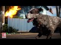 Gameplay video of Far Cry 5  All Platforms