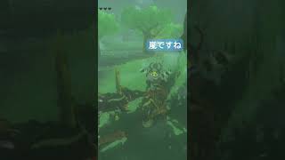 【#ゼルダの伝説ティアーズオブザキングダム 】ヤァ同士よ