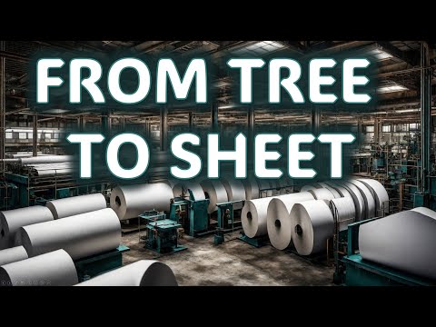 From Tree to Sheet: How Paper Is Made | Unveiling the Manufacturing Process
