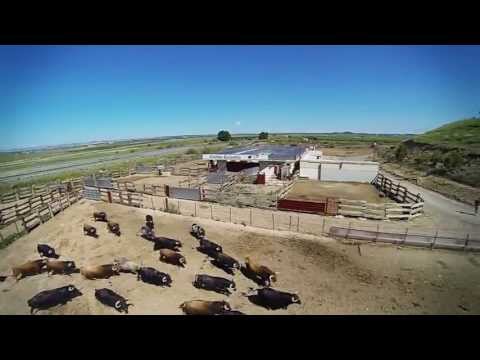 Toropasión - Novillos para la Liga del Corte Puro de Arévalo 2013