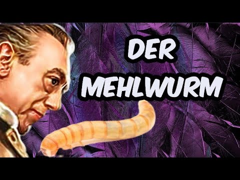 DER MEHLWURM  #krimihörspiel  Gerd Baltus   Fritz Wepper  #missmarple