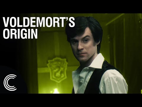 Unexpected Harry Potter Transformation!