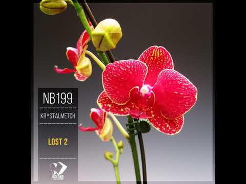 Krystalmetch - Lost 2 (Original Mix)
