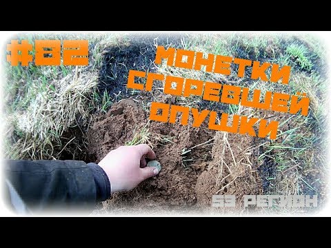 В поисках монет #82 - Поиск после пала травы. Монета есть.