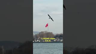 First Impressions of Istanbul, Türkiye 🇹🇷 #travel