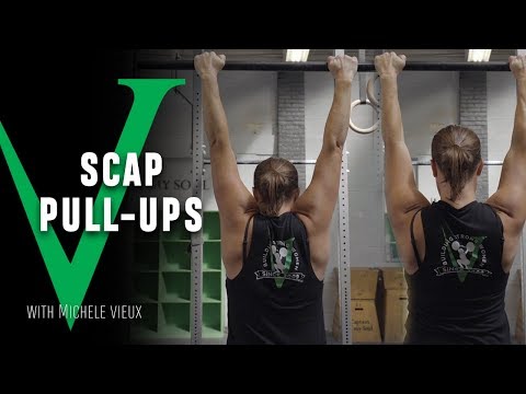 Scapular Pull-Up