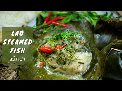 LAO STEAMED FISH IN BANANA LEAF | MOK PA | ໝົກປາ