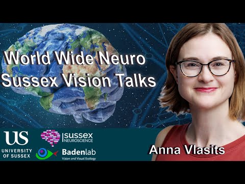 World Wide Neuro | Sussex Vision Series - 29/04/2024 - Prof. Anna Vlasits
