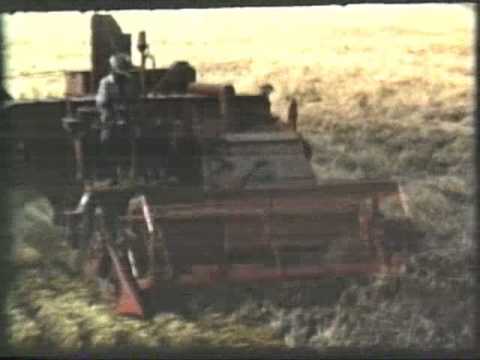 There is wheat and maybe oil in them thar hills