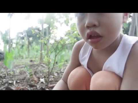 Help Feed and Send to School Poor Kids in the Phil