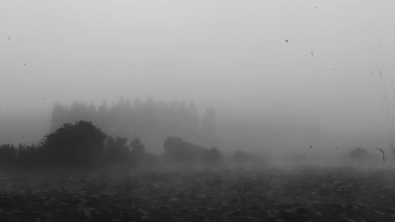 EN ALGÚN MOMENTO FUIMOS NIÑOS