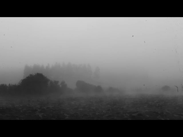 EN ALGÚN MOMENTO FUIMOS NIÑOS