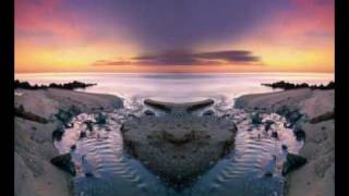 Debbie Davies/Peter Green - Nature's Disappearing