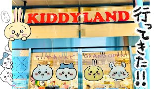 『ちいかわらんど』行ってきた！！可愛すぎたここは最高です!!!【KIDDY LAND ちいかわ】アムズログ