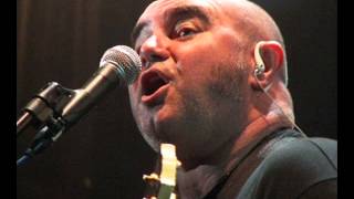 BUITRES - No Te Puedo Matar (Las Canciones son verdad)