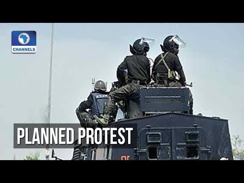 Morning News Update August 4, 2019