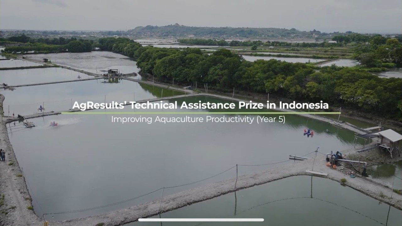 AgResults’ Technical Assistance Prize in Indonesia:  Improving Aquaculture Productivity (Year 5)