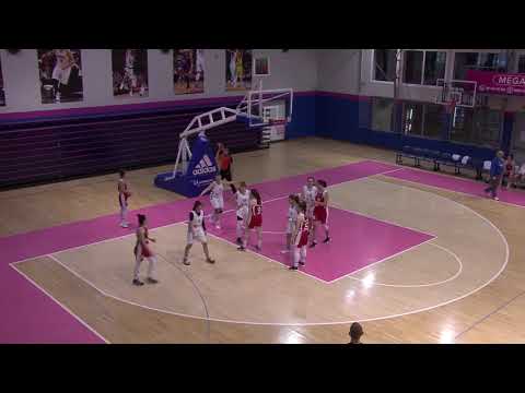 TRIGLAV ZKLS 07 ArtBasketSPDRadnickidoo