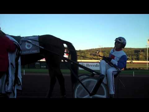 Breeders Crown -- 2 yr old filly trot