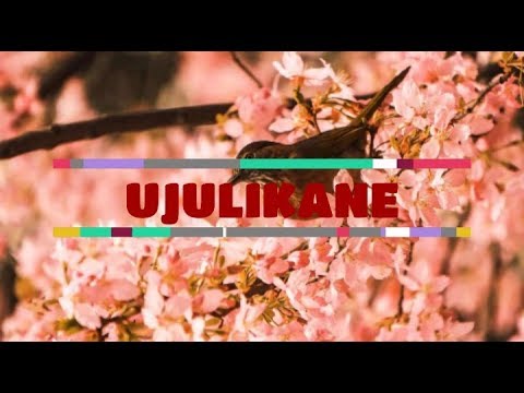 Karwirwa Laura ft. Alice Kimanzi - UJULIKANE (lyrics)