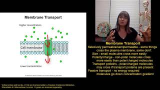 Membrane Transport Introduction