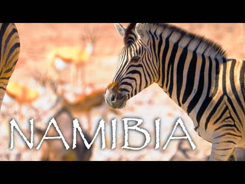 NAMIBIA: Nature and Wildlife - 4K, 60fps