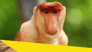 World's Weirdest Week