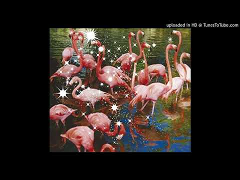 瞳の住人 (hydeless version)