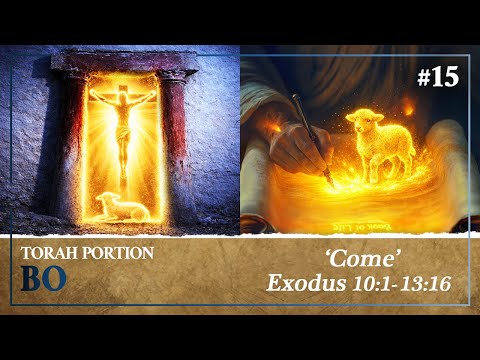 The Blood of the Lamb that Allows Our Names to be Written in the Book of Life - Torah Portion Bo