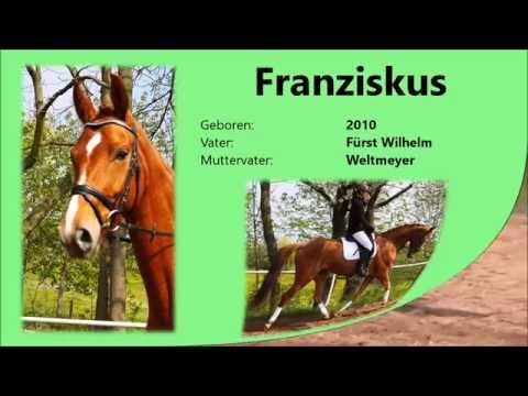 Franziskus