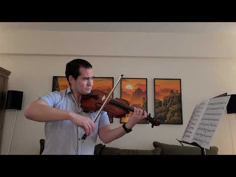 Seitz Concerto No. 3 in G Minor, Op. 12, 1st Mvt (Solos for Young Violinists, Volume 2)