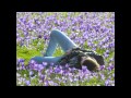 Delafé y las Flores Azules. La Primavera. 