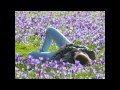 Delafé y las Flores Azules. La Primavera. 