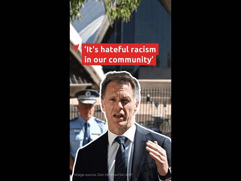 Chris Minns denounces 'horrifying rise' in Islamophobia since Bondi attack