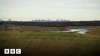 The park that turned rubbish into a nature haven | BBC Global
