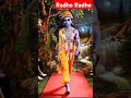 Krishna Ji Entry In Mahal Shorts Dwarkadhish Krishna Entry Love